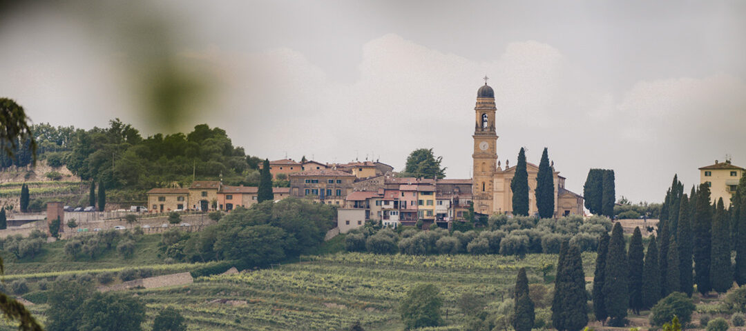 colline della valpolicella